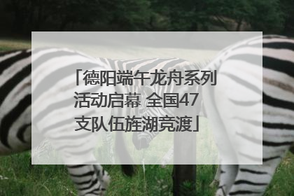德阳端午龙舟系列活动启幕 全国47支队伍旌湖竞渡