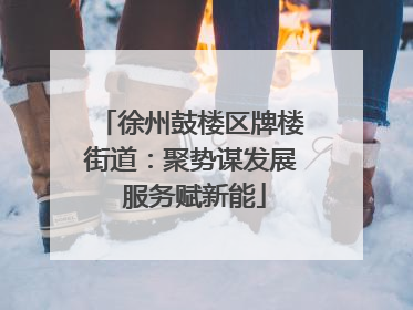 徐州鼓楼区牌楼街道：聚势谋发展 服务赋新能