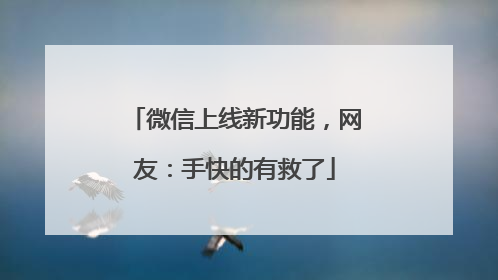 微信上线新功能，网友：手快的有救了