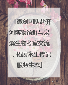 微刻团队赴齐河博物馆群与泉溪生物考察交流，拓展永生传记服务生态