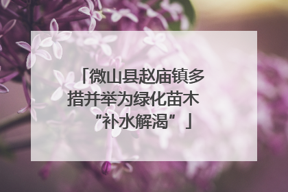 微山县赵庙镇多措并举为绿化苗木“补水解渴”