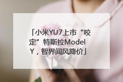 小米YU7上市“咬定”特斯拉Model Y，智界闻风降价