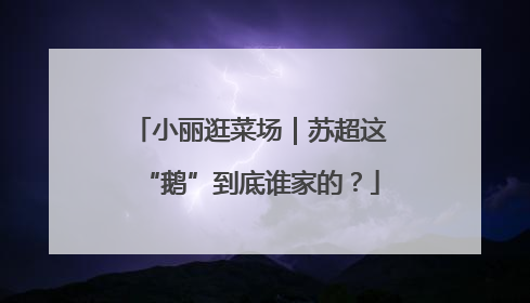 小丽逛菜场｜苏超这“鹅”到底谁家的？