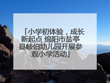 小学初体验，成长新起点 绵阳市盐亭县岐伯幼儿园开展参观小学活动