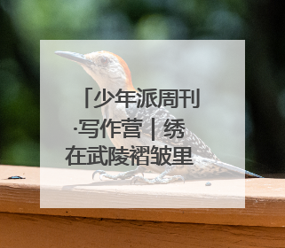 少年派周刊·写作营｜绣在武陵褶皱里的文明长卷