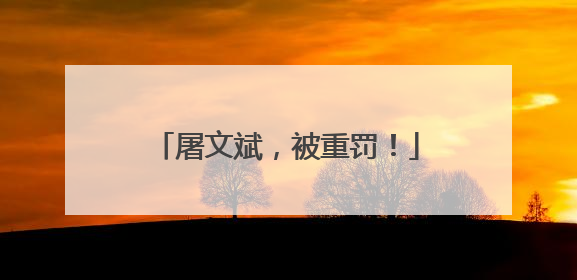 屠文斌，被重罚！