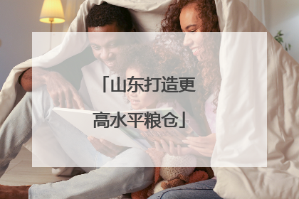 山东打造更高水平粮仓