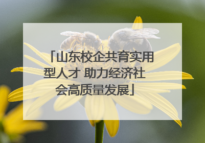 山东校企共育实用型人才 助力经济社会高质量发展