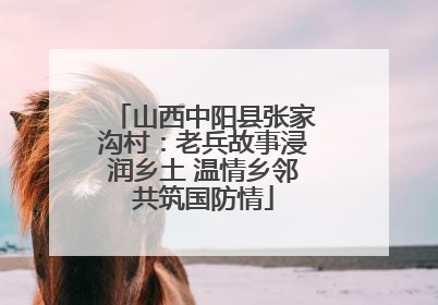 山西中阳县张家沟村：老兵故事浸润乡土 温情乡邻共筑国防情