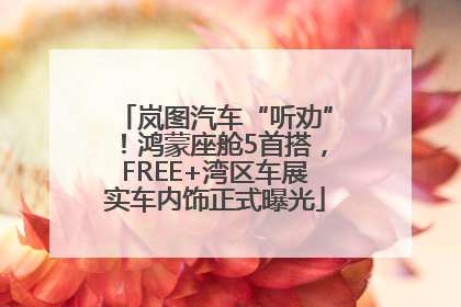 岚图汽车“听劝”！鸿蒙座舱5首搭，FREE+湾区车展实车内饰正式曝光