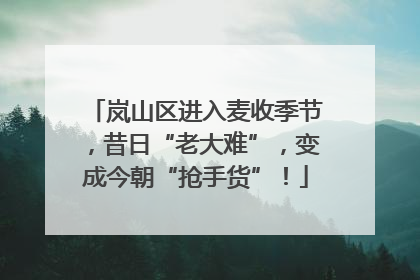 岚山区进入麦收季节，昔日“老大难”，变成今朝“抢手货”！