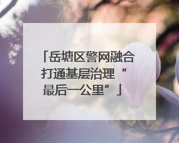 岳塘区警网融合 打通基层治理“最后一公里”