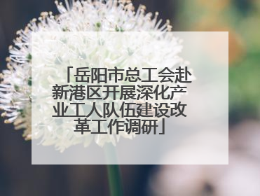 岳阳市总工会赴新港区开展深化产业工人队伍建设改革工作调研