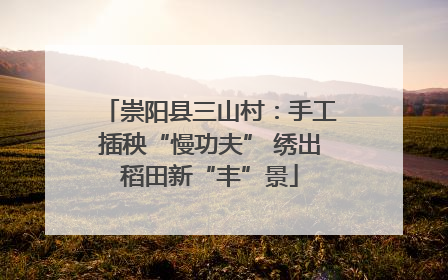 崇阳县三山村：手工插秧“慢功夫” 绣出稻田新“丰”景