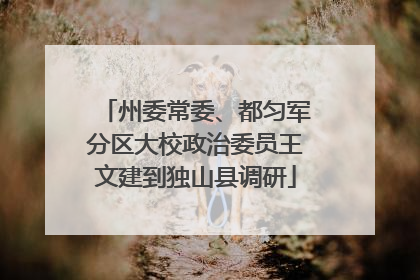州委常委、都匀军分区大校政治委员王文建到独山县调研