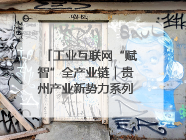 工业互联网“赋智”全产业链｜贵州产业新势力系列报道之八