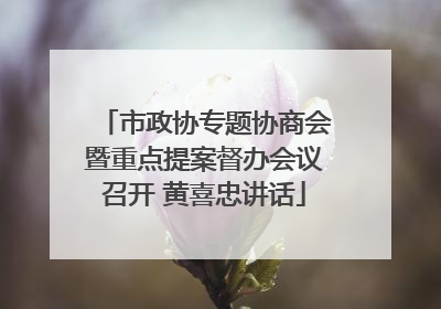 市政协专题协商会暨重点提案督办会议召开 黄喜忠讲话