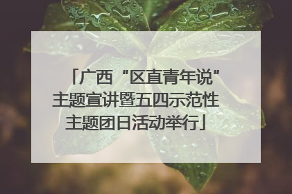 广西“区直青年说”主题宣讲暨五四示范性主题团日活动举行