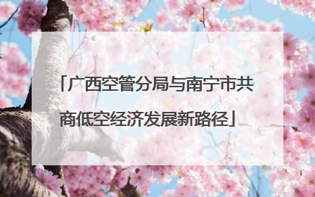广西空管分局与南宁市共商低空经济发展新路径