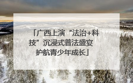 广西上演“法治+科技”沉浸式普法盛宴 护航青少年成长