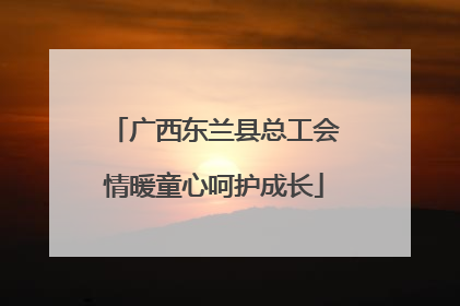 广西东兰县总工会情暖童心呵护成长