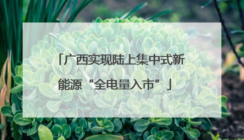 广西实现陆上集中式新能源“全电量入市”