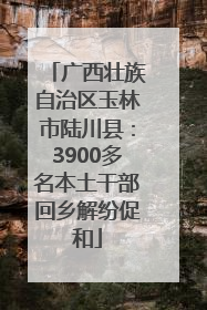 广西壮族自治区玉林市陆川县：3900多名本土干部回乡解纷促和