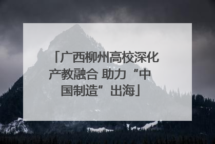 广西柳州高校深化产教融合 助力“中国制造”出海