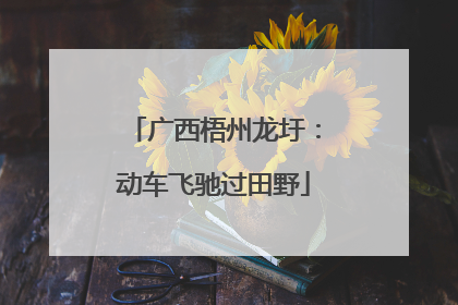 广西梧州龙圩：动车飞驰过田野
