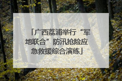 广西荔浦举行“军地联合”防汛抢险应急救援综合演练