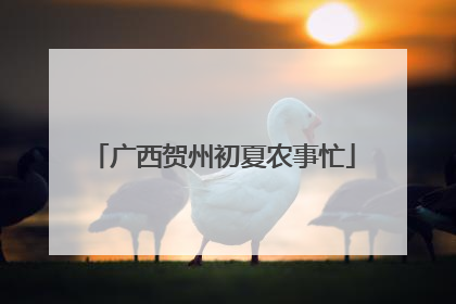 广西贺州初夏农事忙
