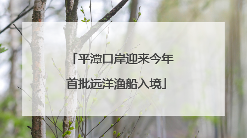 平潭口岸迎来今年首批远洋渔船入境