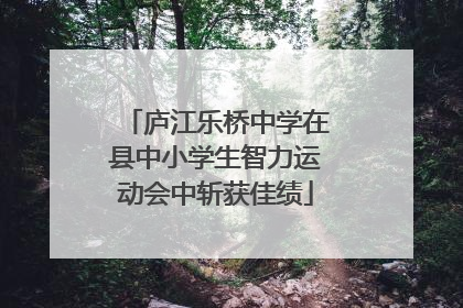 庐江乐桥中学在县中小学生智力运动会中斩获佳绩