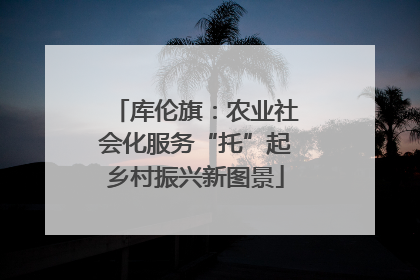 库伦旗：农业社会化服务“托”起乡村振兴新图景