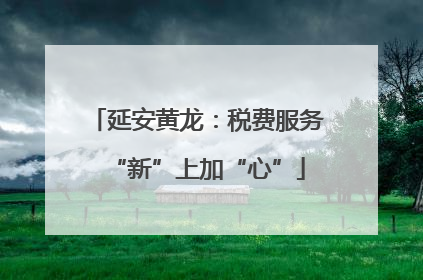 延安黄龙：税费服务“新”上加“心”