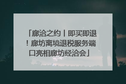 廊洽之约丨即买即退！廊坊离境退税服务端口亮相廊坊经洽会