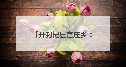 开封杞县官庄乡：夏粮归仓入廪忙