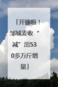 开镰啦！邹城麦收“减”出530多万斤增量