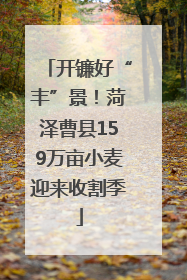 开镰好“丰”景！菏泽曹县159万亩小麦迎来收割季