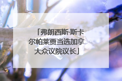 弗朗西斯·斯卡尔帕莱贾当选加拿大众议院议长