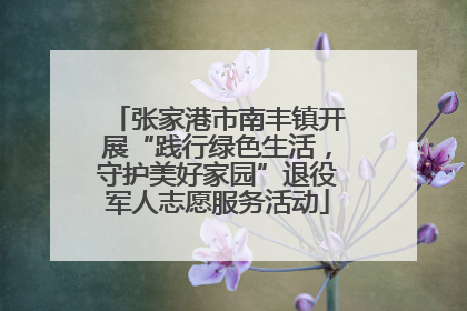 张家港市南丰镇开展“践行绿色生活，守护美好家园”退役军人志愿服务活动