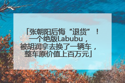 张朝阳后悔“退货”！一个绝版Labubu，被胡润拿去换了一辆车，整车原价值上百万元