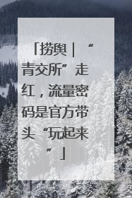 捞舆｜“青交所”走红，流量密码是官方带头“玩起来”