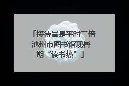接待量是平时三倍 池州市图书馆现暑期“读书热”