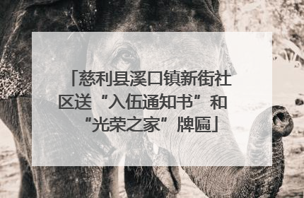 慈利县溪口镇新街社区送“入伍通知书”和“光荣之家”牌匾