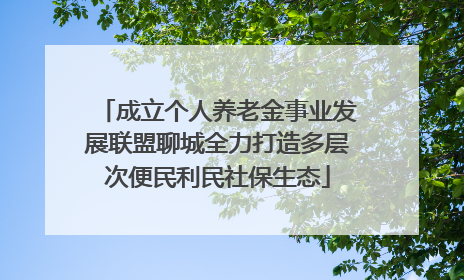 成立个人养老金事业发展联盟聊城全力打造多层次便民利民社保生态