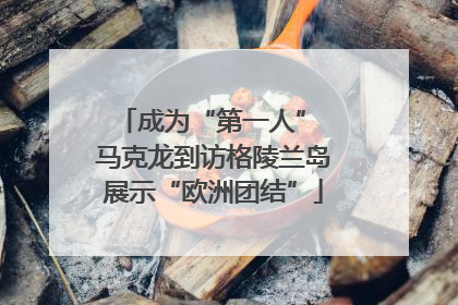 成为“第一人” 马克龙到访格陵兰岛展示“欧洲团结”