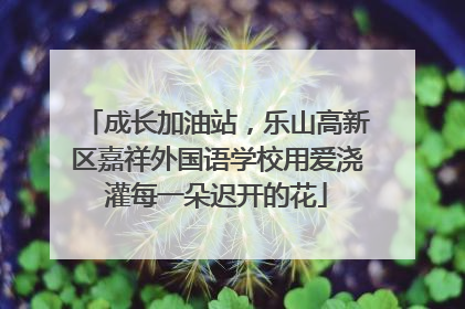 成长加油站，乐山高新区嘉祥外国语学校用爱浇灌每一朵迟开的花