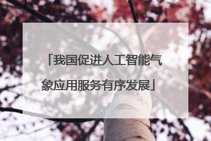 我国促进人工智能气象应用服务有序发展