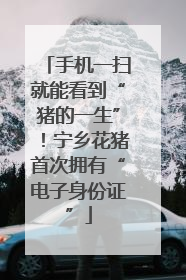 手机一扫就能看到“猪的一生”！宁乡花猪首次拥有“电子身份证”